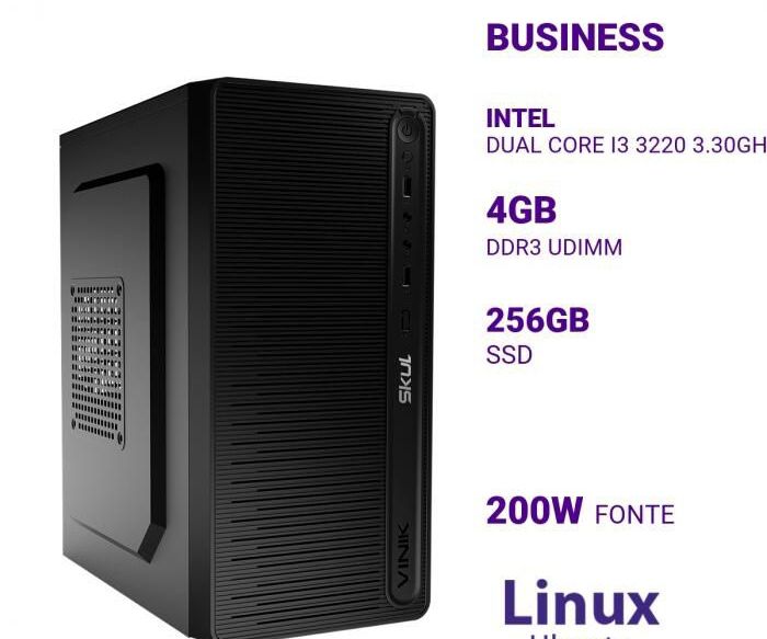 Computador Desktop Skul Business B300 Core i3 3220 Memória 4GB SSD 256GB Linux sem Monitor