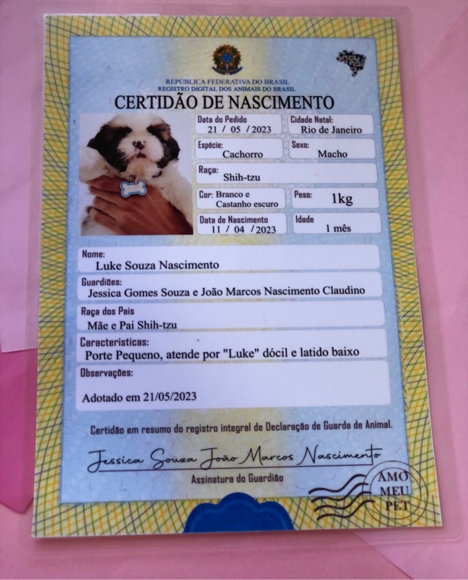 Certidão de nascimento pet 