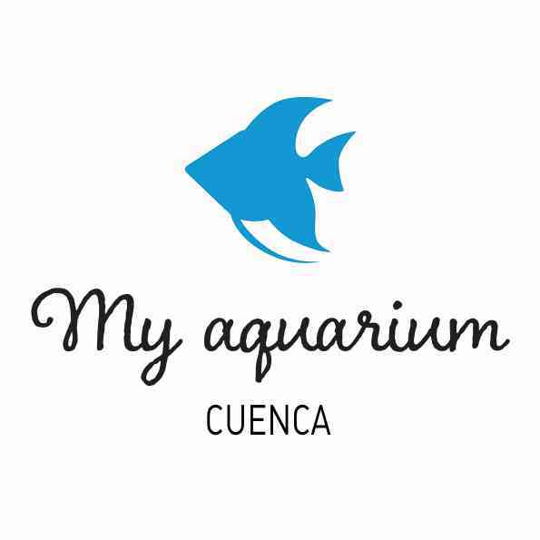 MyAquarium Cuenca