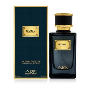 Perfume Masculino Soul Men de Aris 100ml