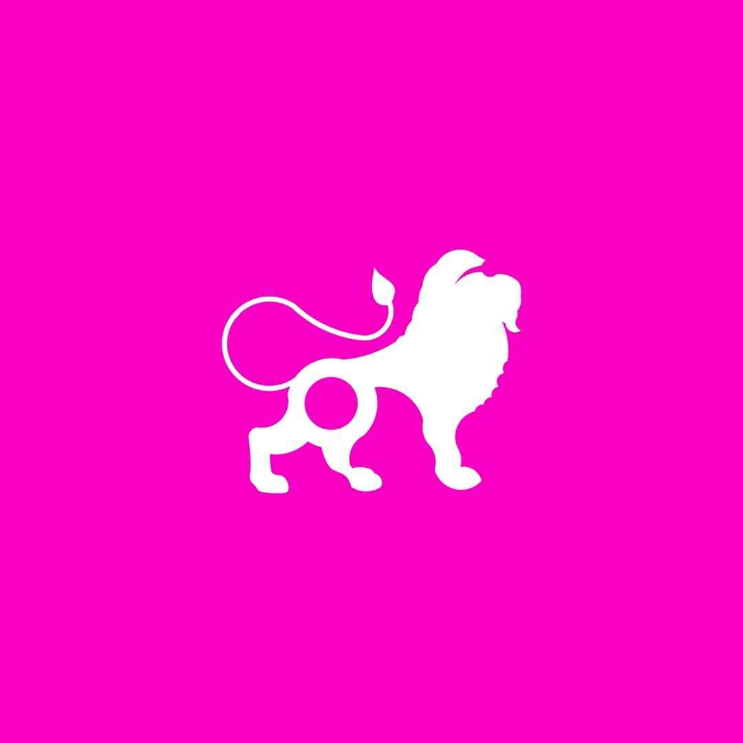 LIONSTYLE⭐BRECHÓ