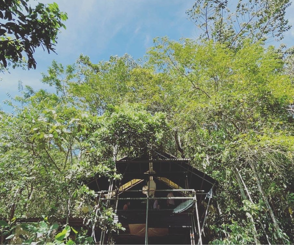 Rainforest Treehouse Cafe