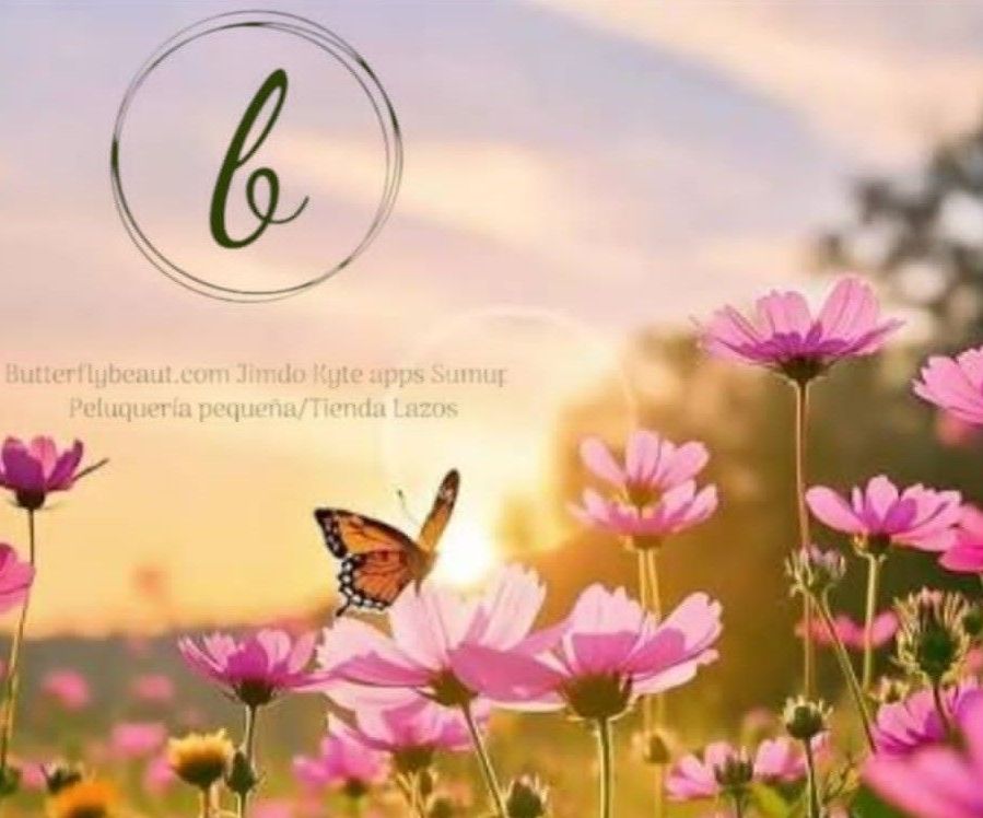 Butterflybeaut.com Jimdo kyte apps SumUp 