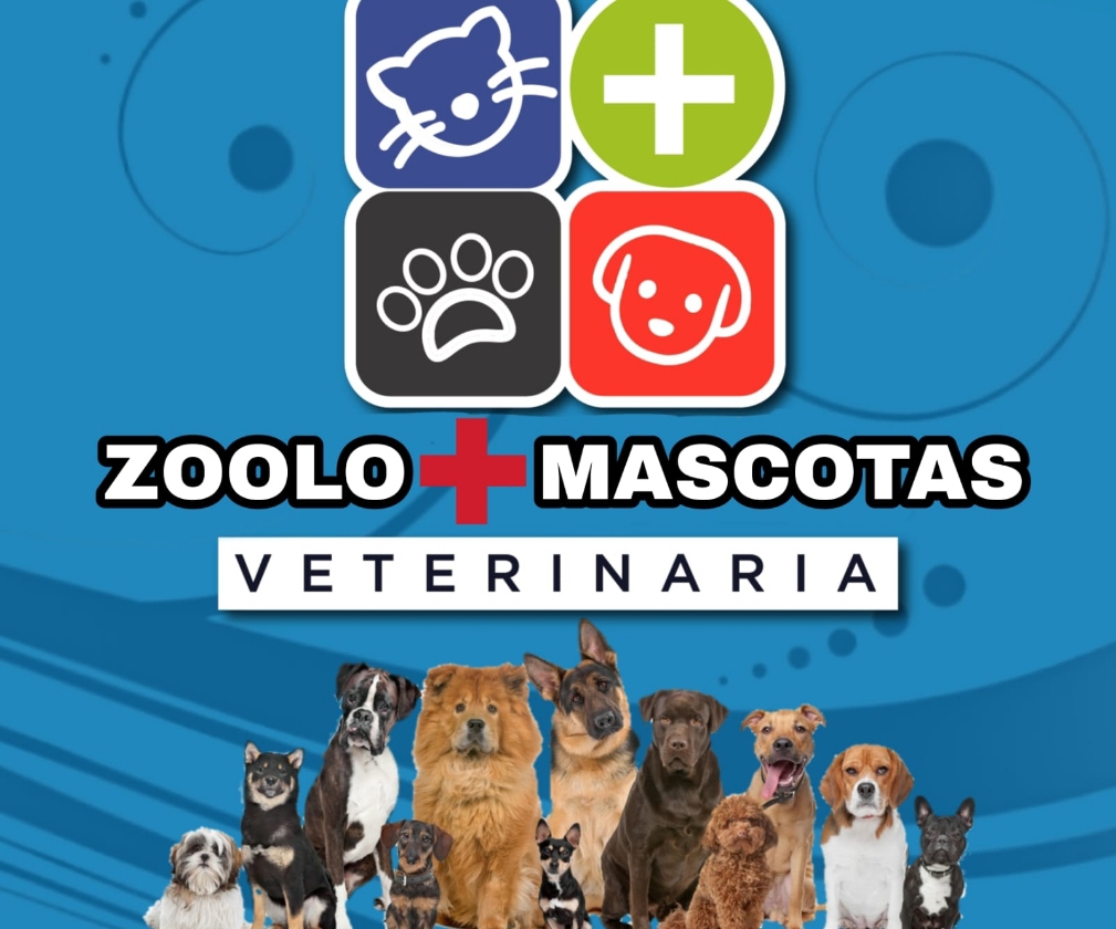 Servicios veterinarios zoolo+cotas
