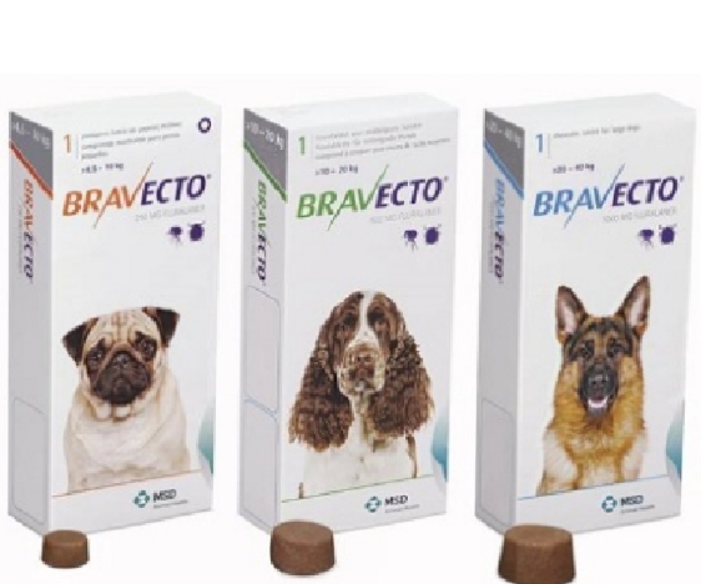 Bravecto 10a20kg (médium) 