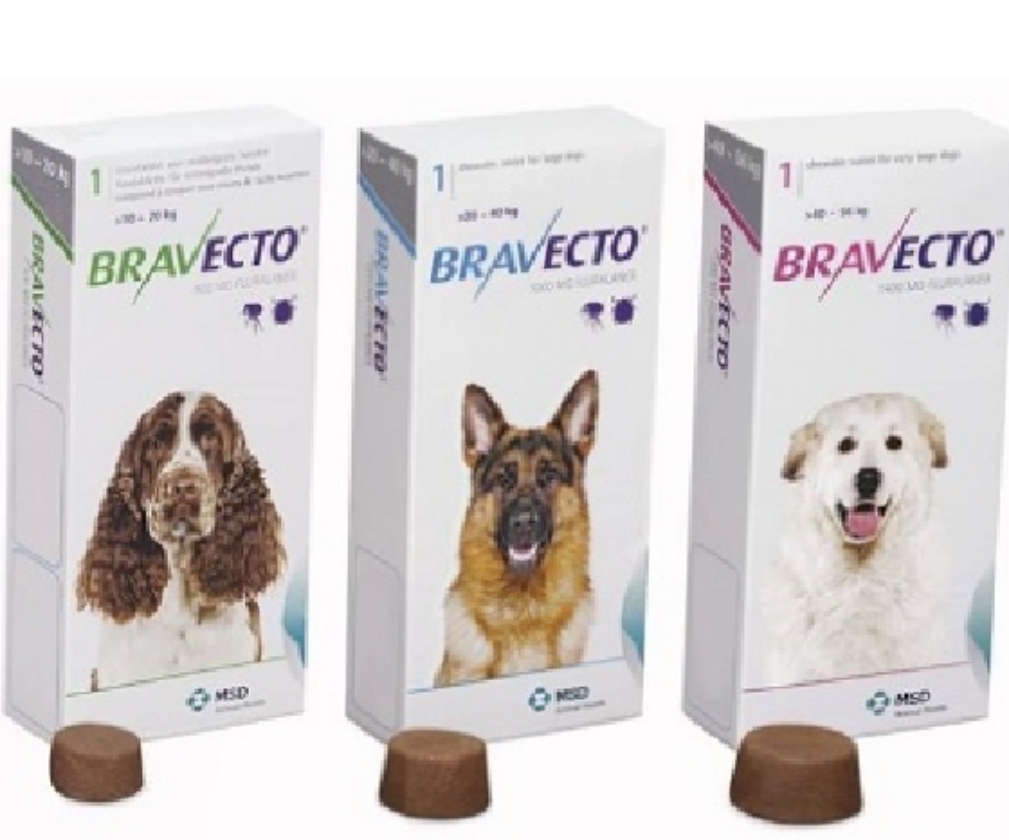 Bravecto 40a56k (extra large) 