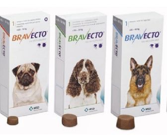 Bravecto 2a4,5k (very small) 