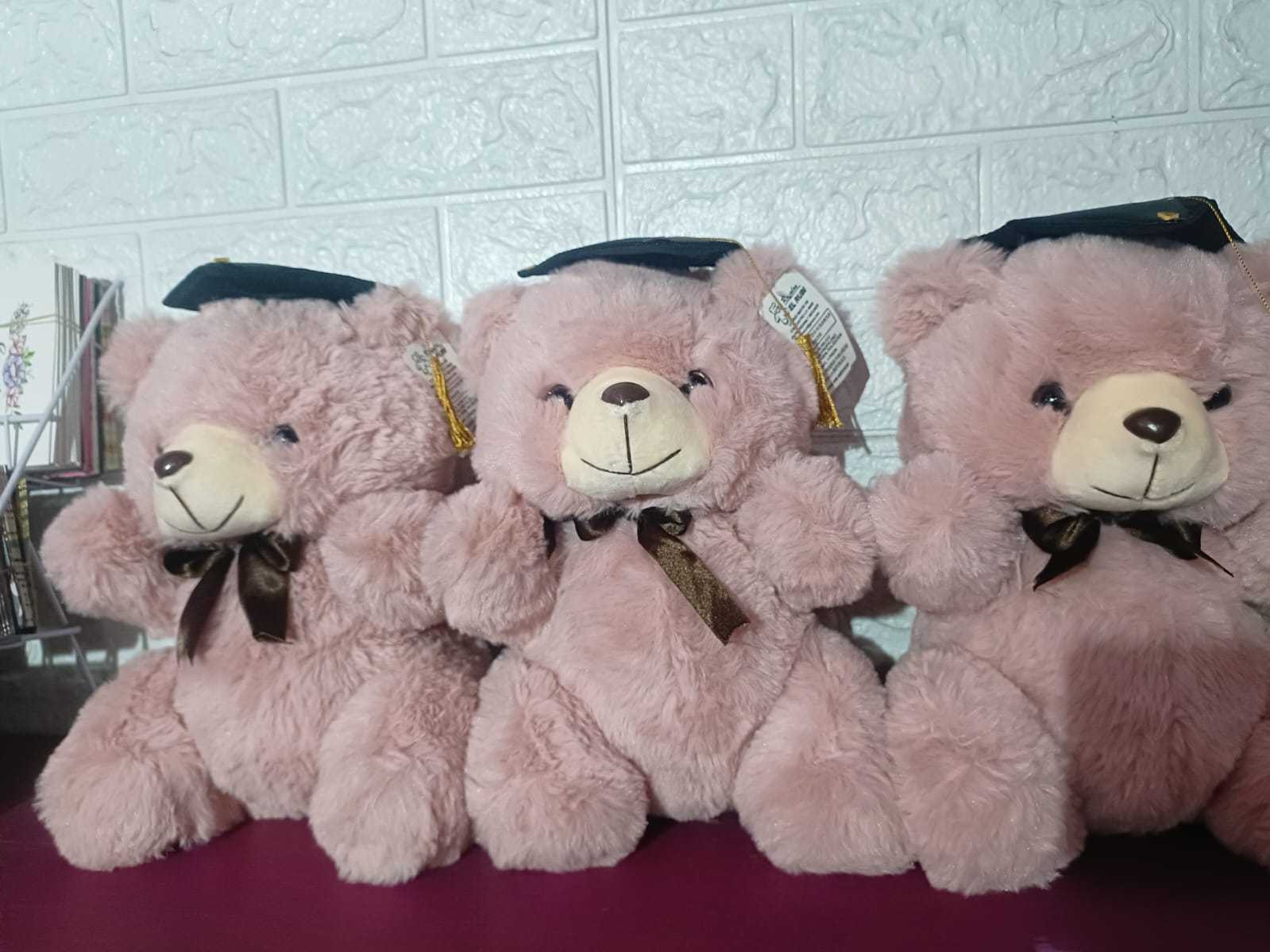 Oso Graduación 🎓