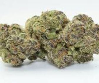 Blue Nerds 29.9% thc $100 oz deal