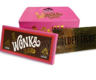 Wonka 4g Mushroom Bar