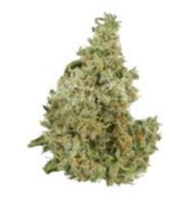 AK-47 thc 26.7%  $100 oz deal 