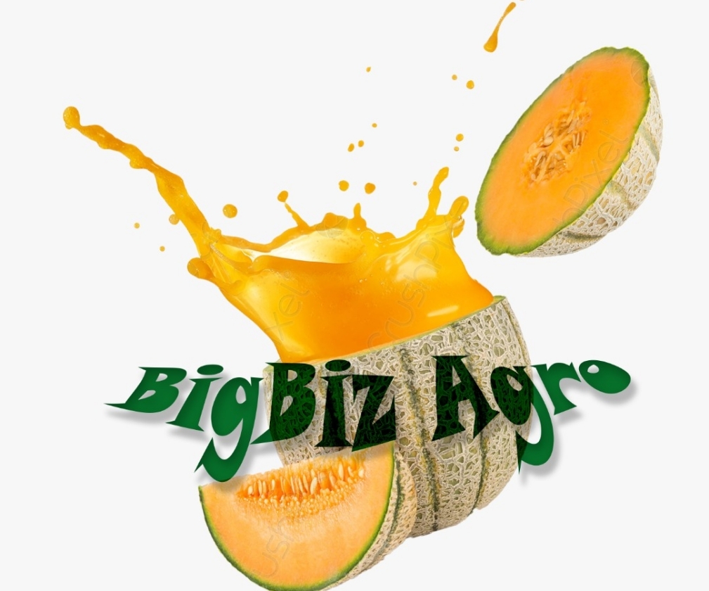 bigbizagro