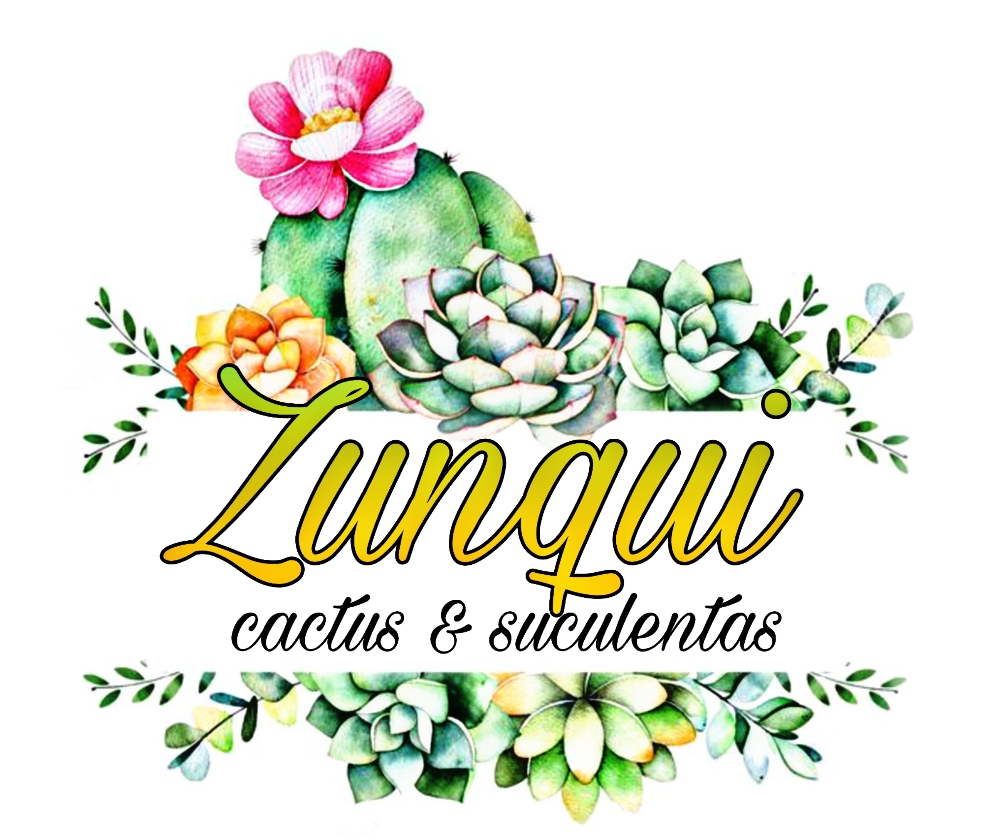 Zunqui Plantas ornamentales