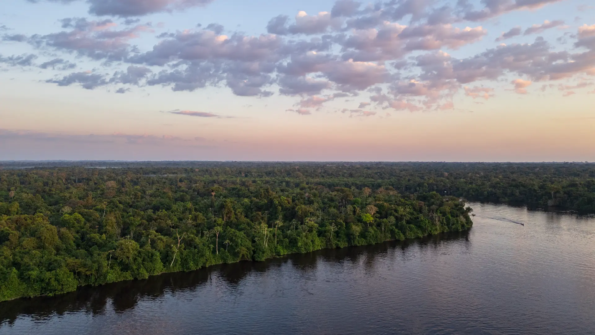 Río amazónico entre la selva al atardecer