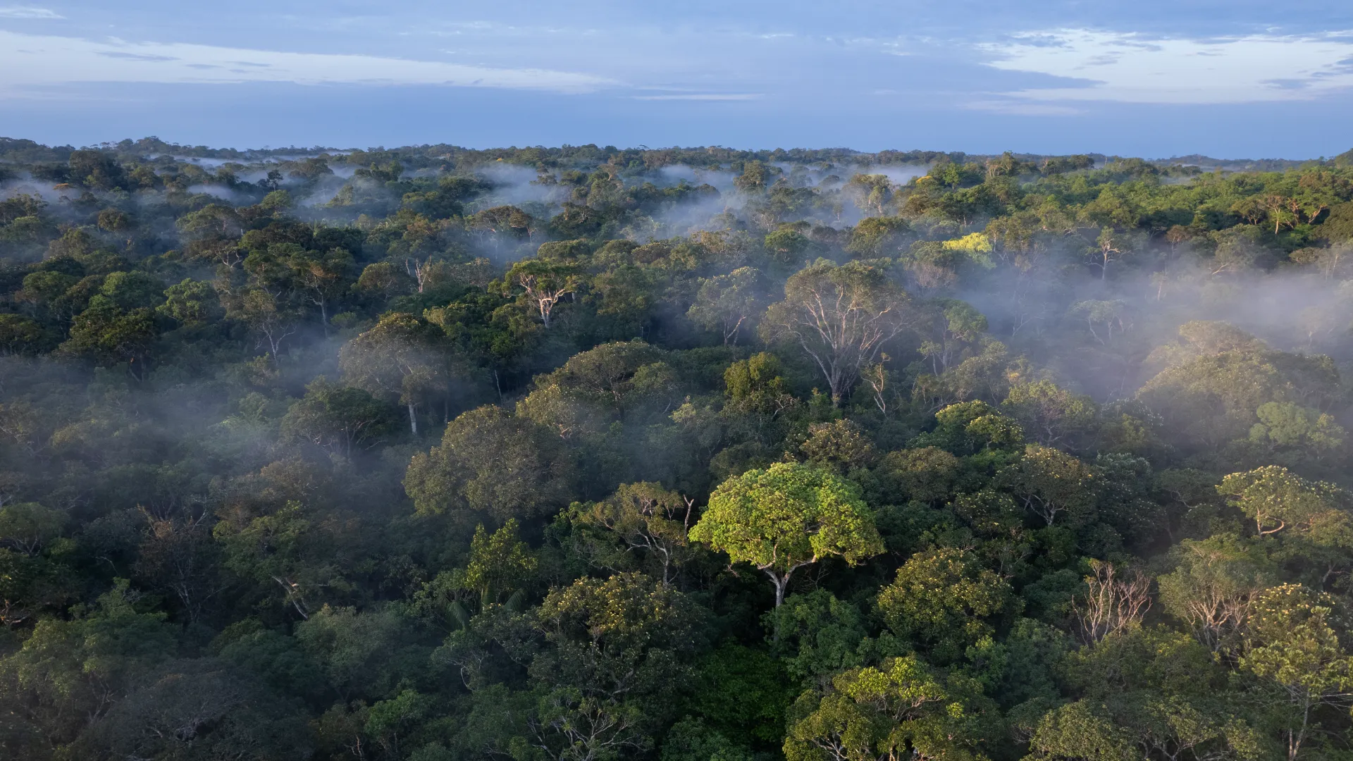 Vista aérea de la Comunidad de Camanos Territorio Indígena Isana y Surubí
