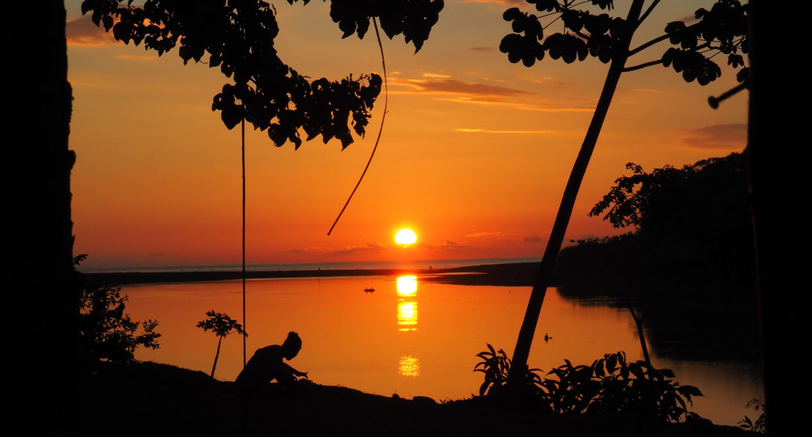 Imagen de la galería de Cola Ballena