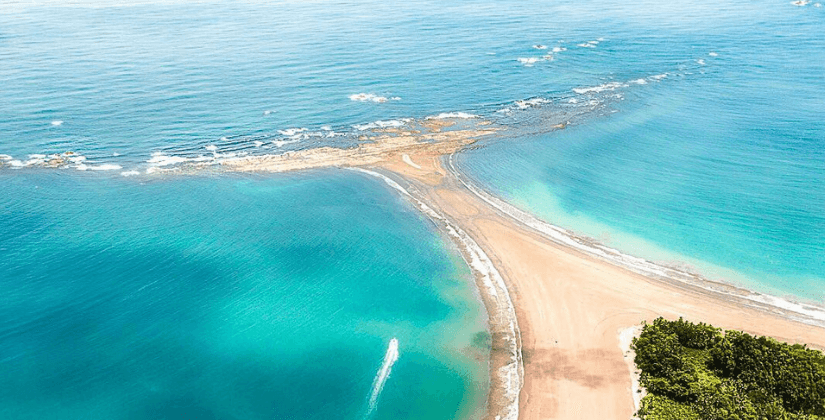 Imagen de Cola Ballena