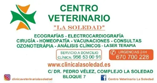 Centro Veterinario La Soledad Peluquería canina ecografía electrocardiografía cirugía homeopatía