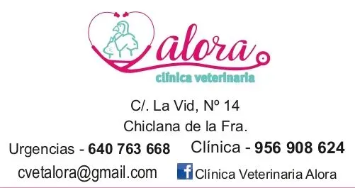 Veterinario Alora peluquería canina