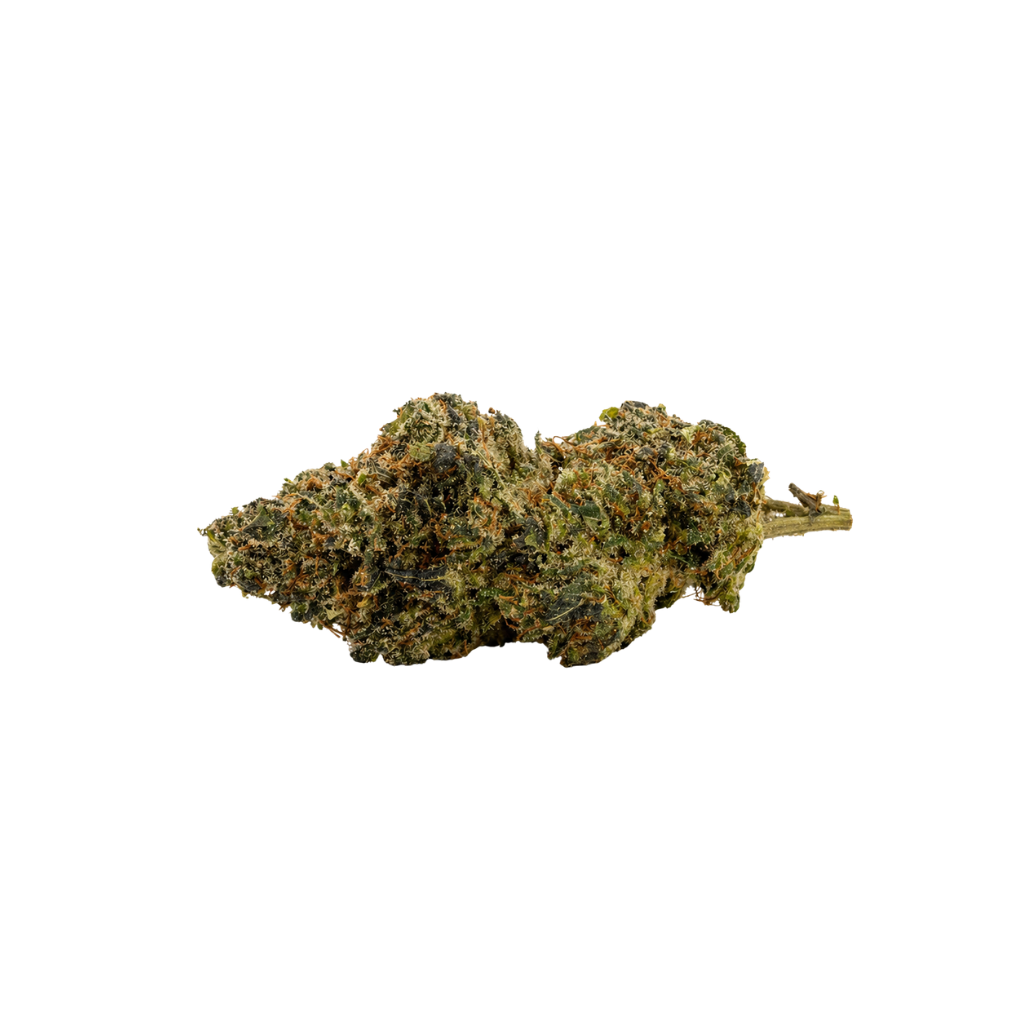 T8C Amnesia