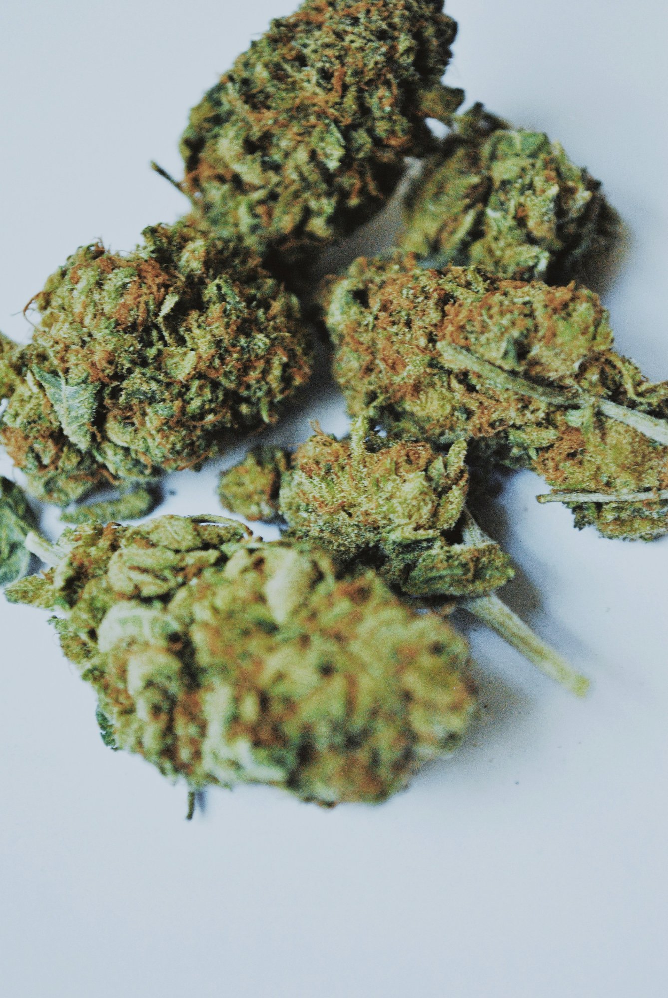 Co je T8C a proč na tom záleží?