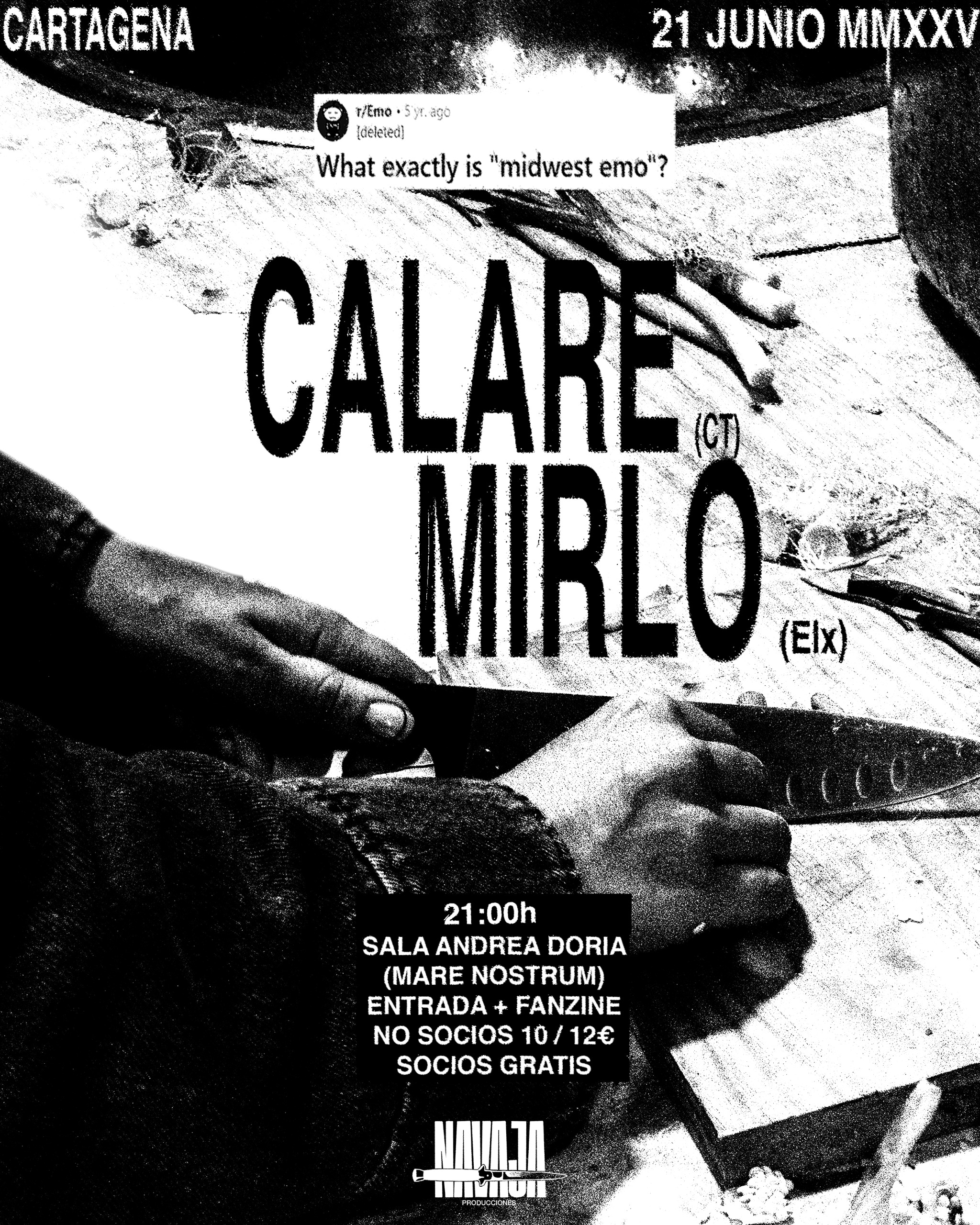 Cartel de Calare + Mirlo