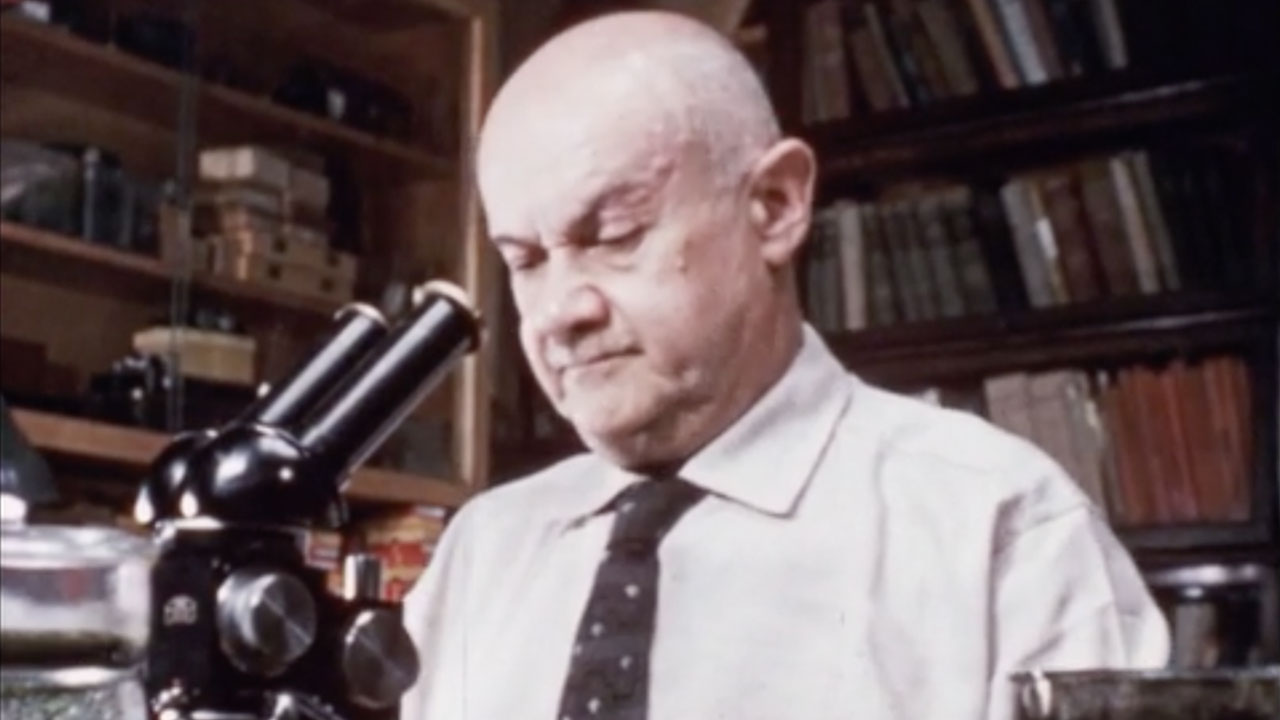 The Worlds of Dr. Vishniac