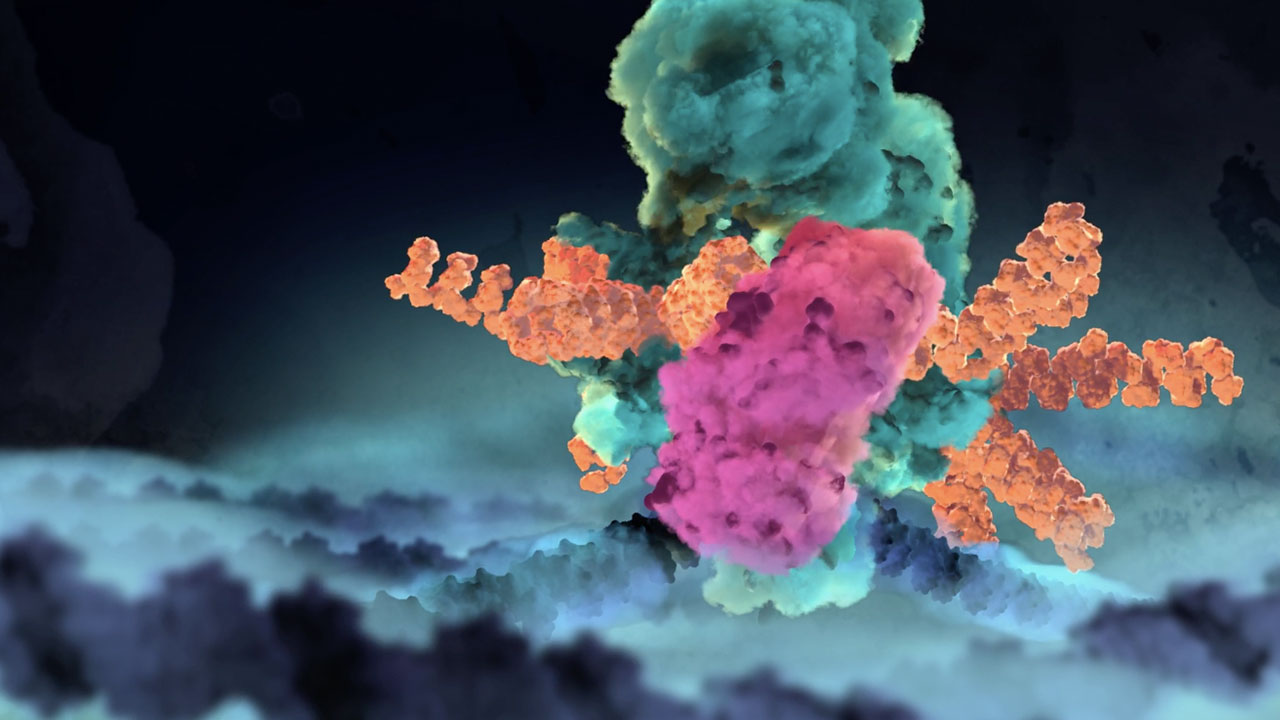 Our Resilient Genome