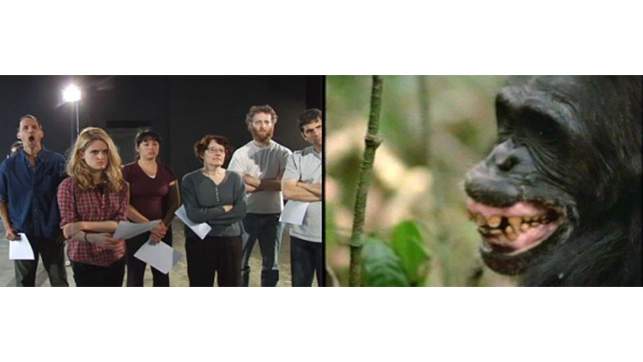 Primate Cinema: How to Act like an Animal