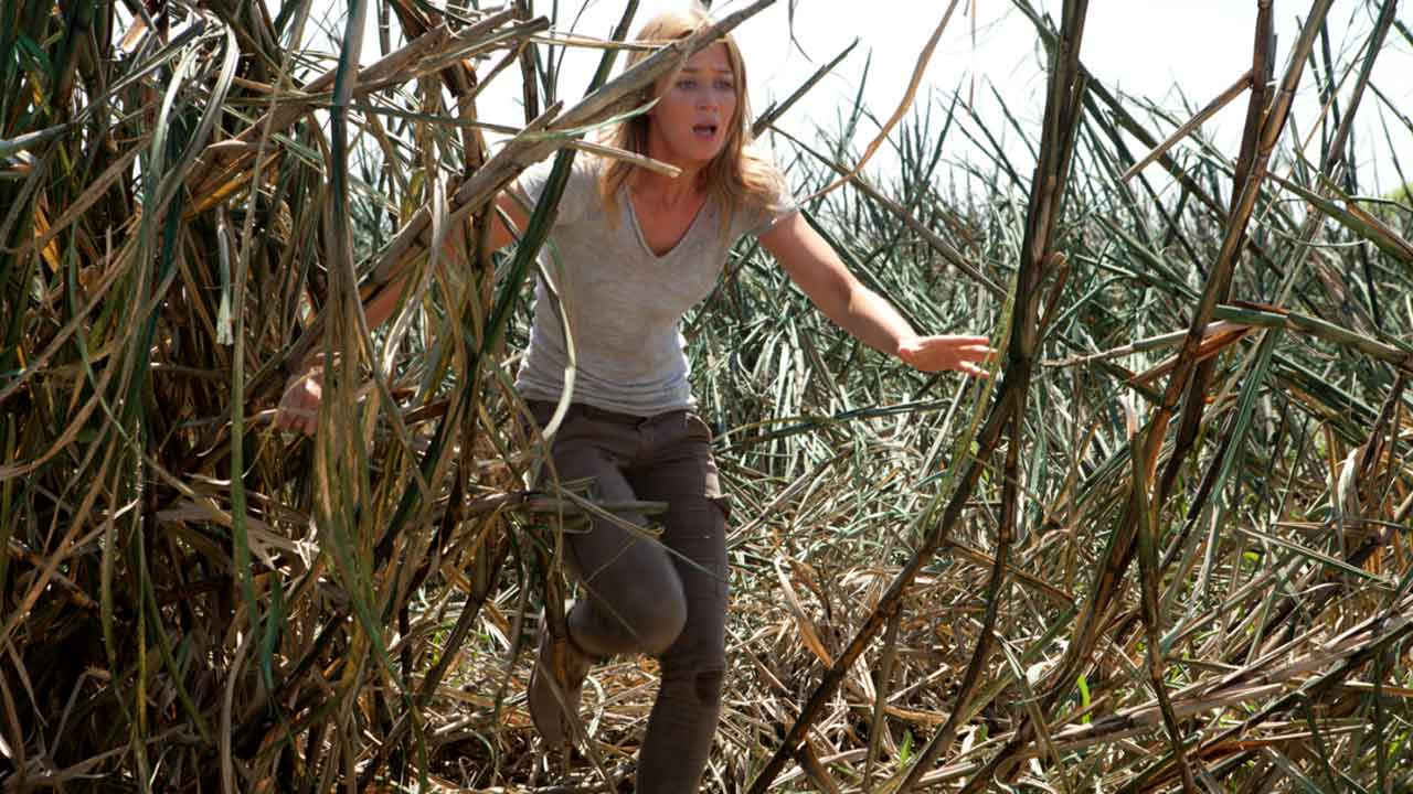 Looper