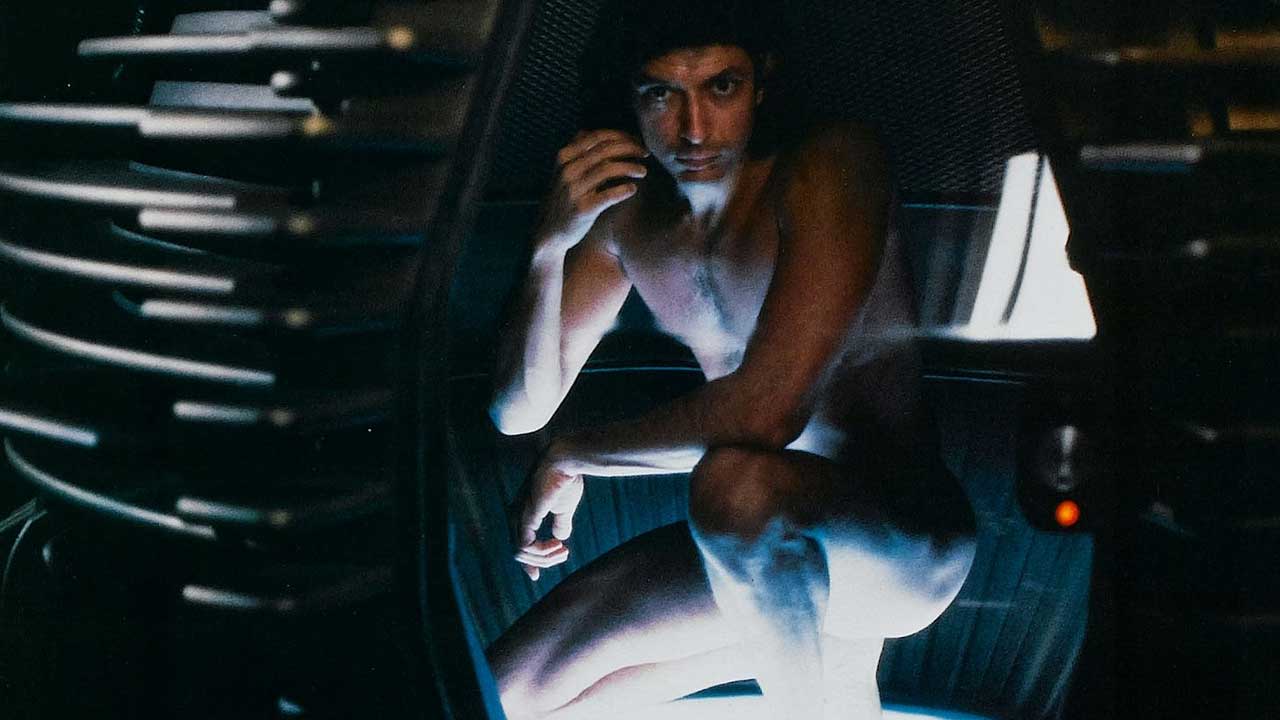 The Fly