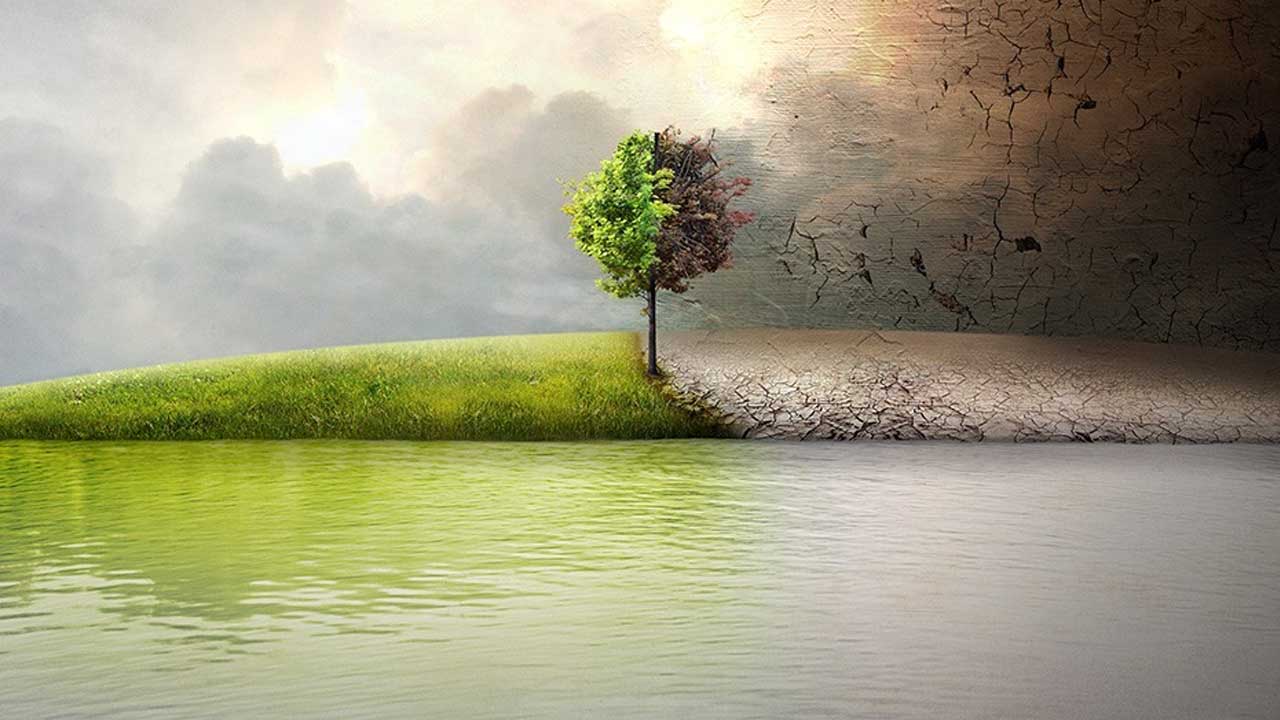 Before the Flood