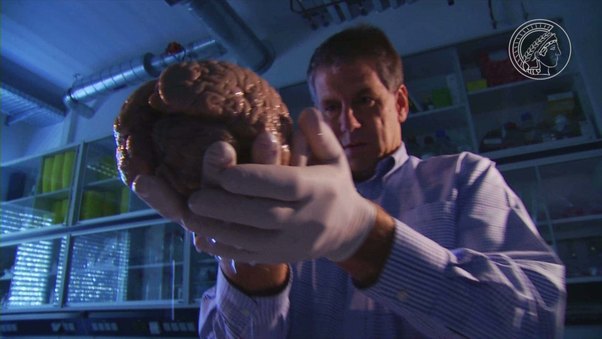 How Synapses Spark