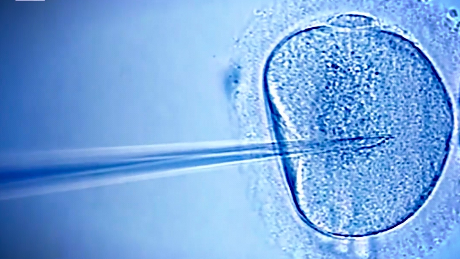 The Genetics Revolution