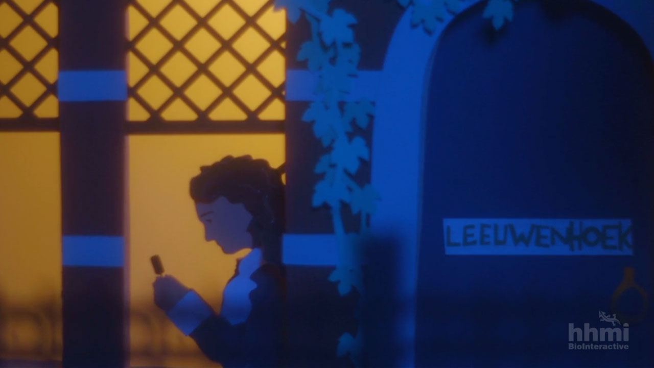 Animated Life: Seeing the Invisible