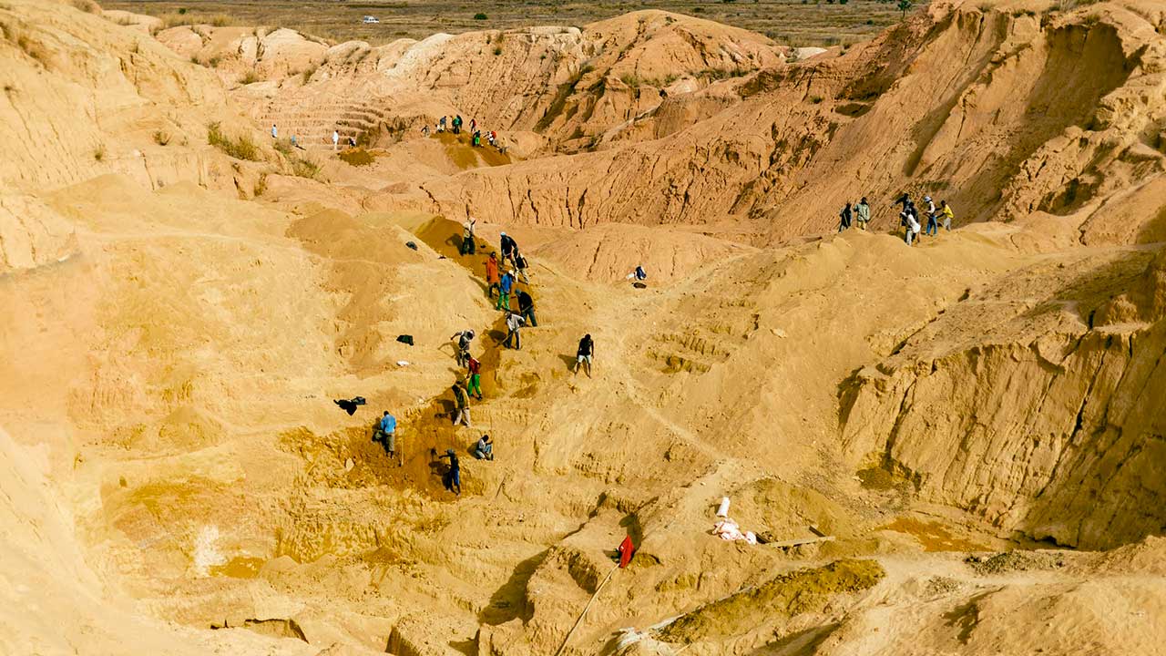 Unknown Fields: Madagascar – A Treasured Island