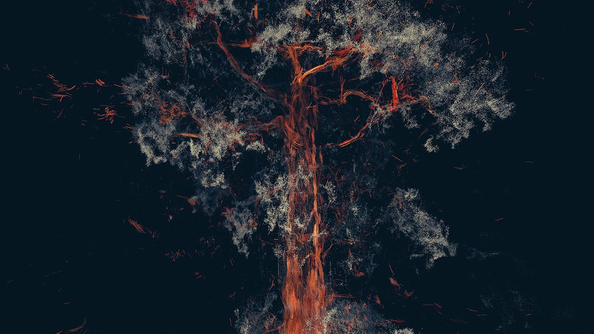 Treehugger: Wawona Teaser