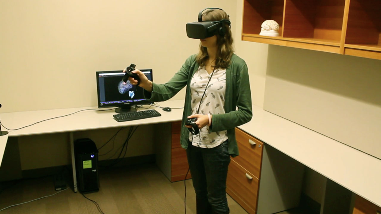 BrainWalk: Behind the Scenes Navigation Demonstration