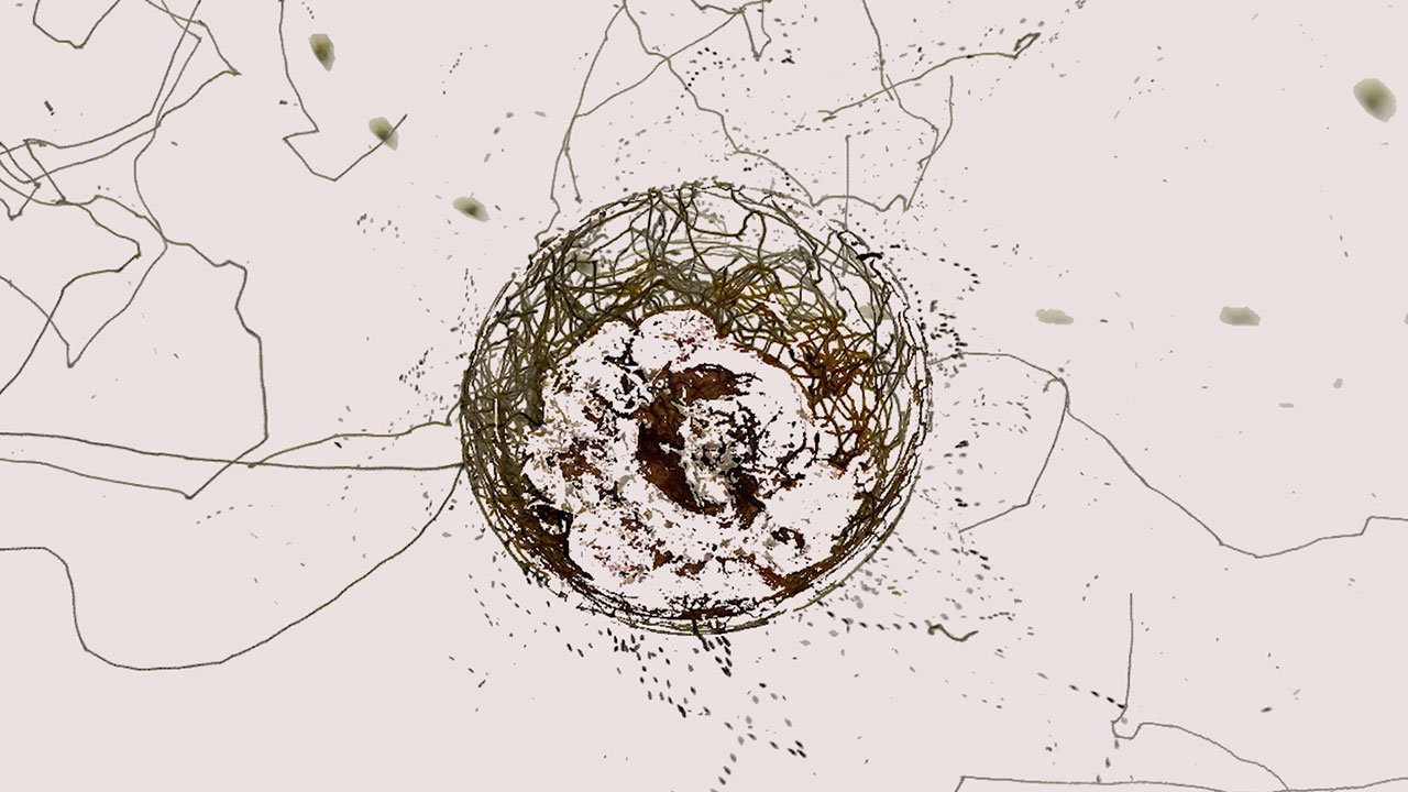 Fruit flies draw a bowl of ripe fruit from above