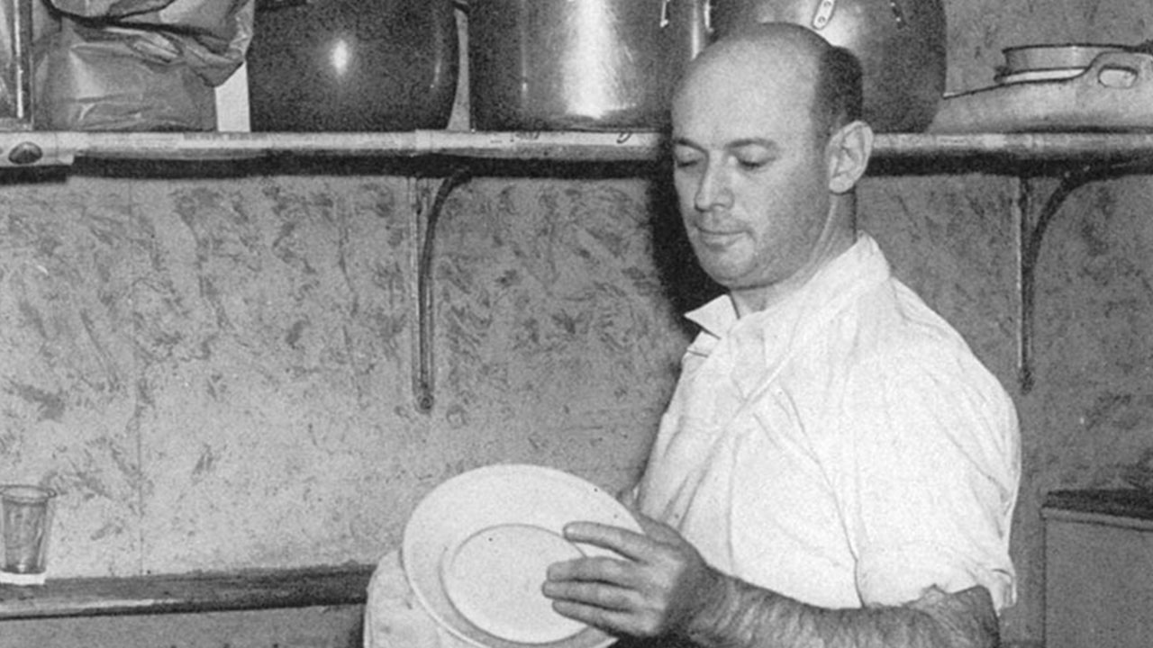 Egghead Genius