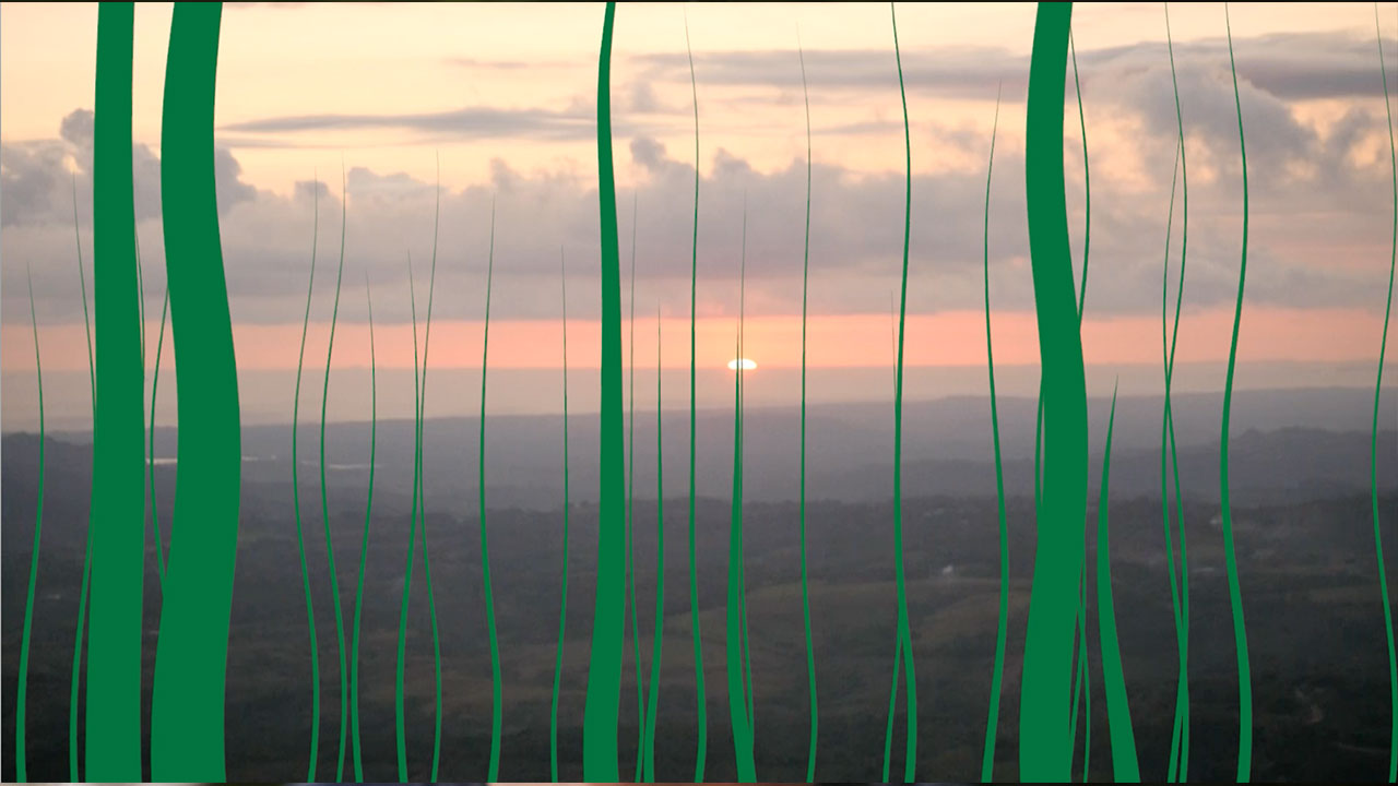 Rising Vines