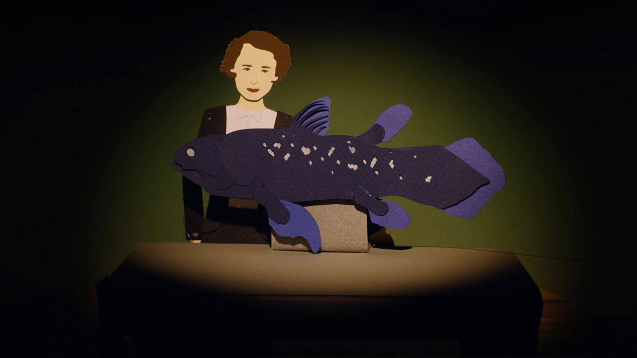 Animated Life: Coelacanth