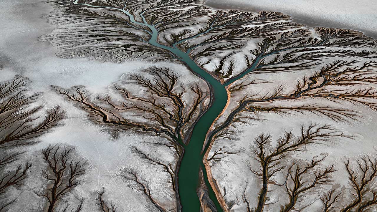 Watermark