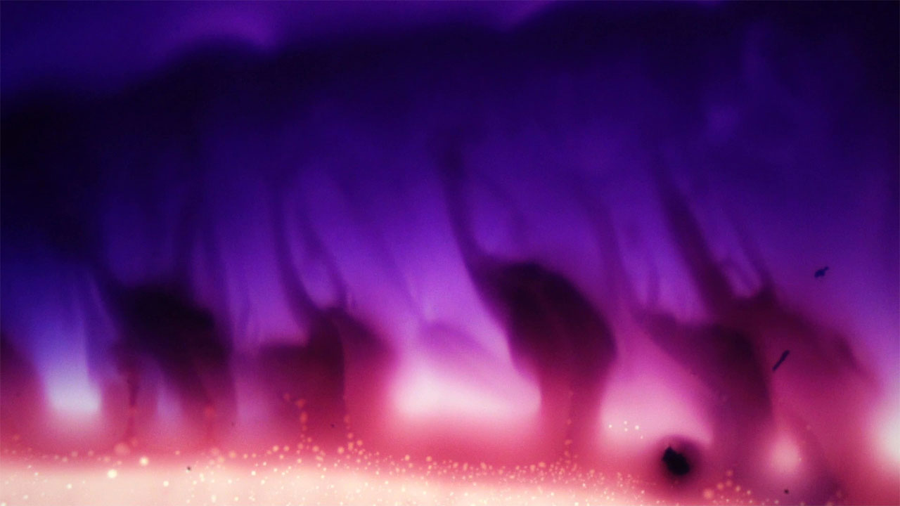 Supravital stains reacting under a microscope at 40x