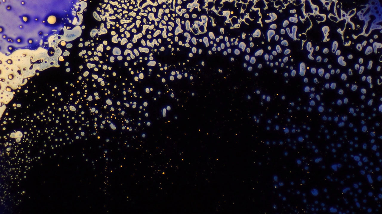 Revealing the final moments of a bubble under a microscope at 40x