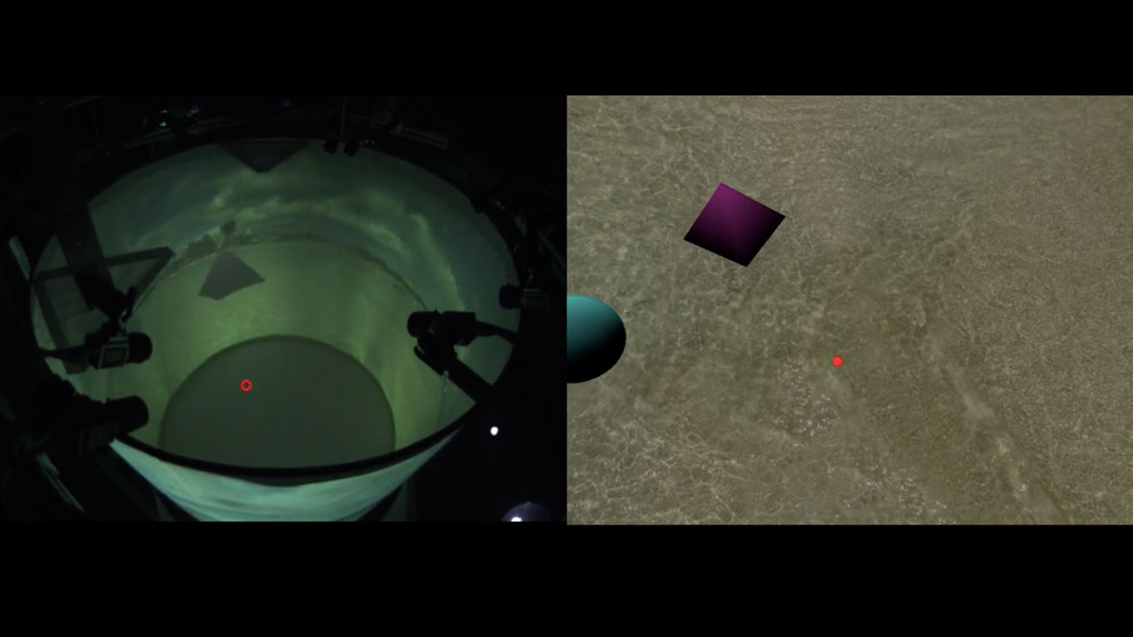 Photo realistic and naturalistic VR for freely flying Drosophila