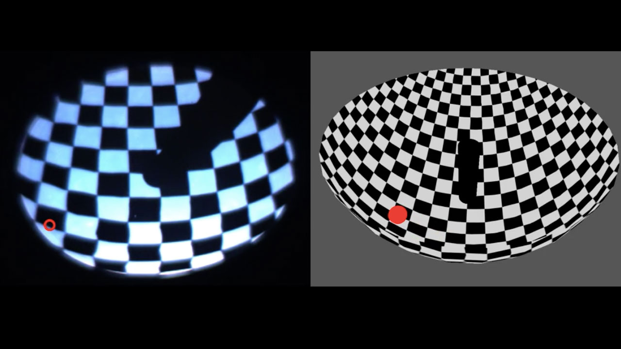 Simulation of a virtual post for freely swimming Zebrafish