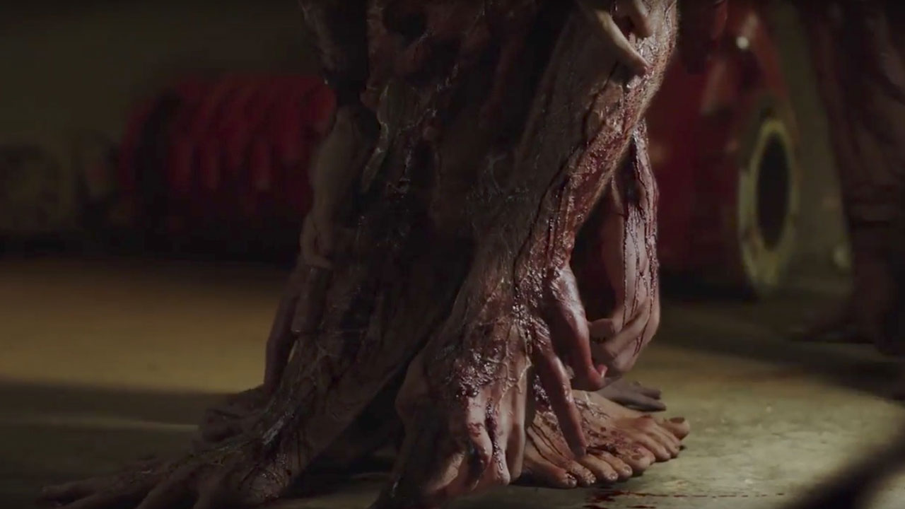 Zygote