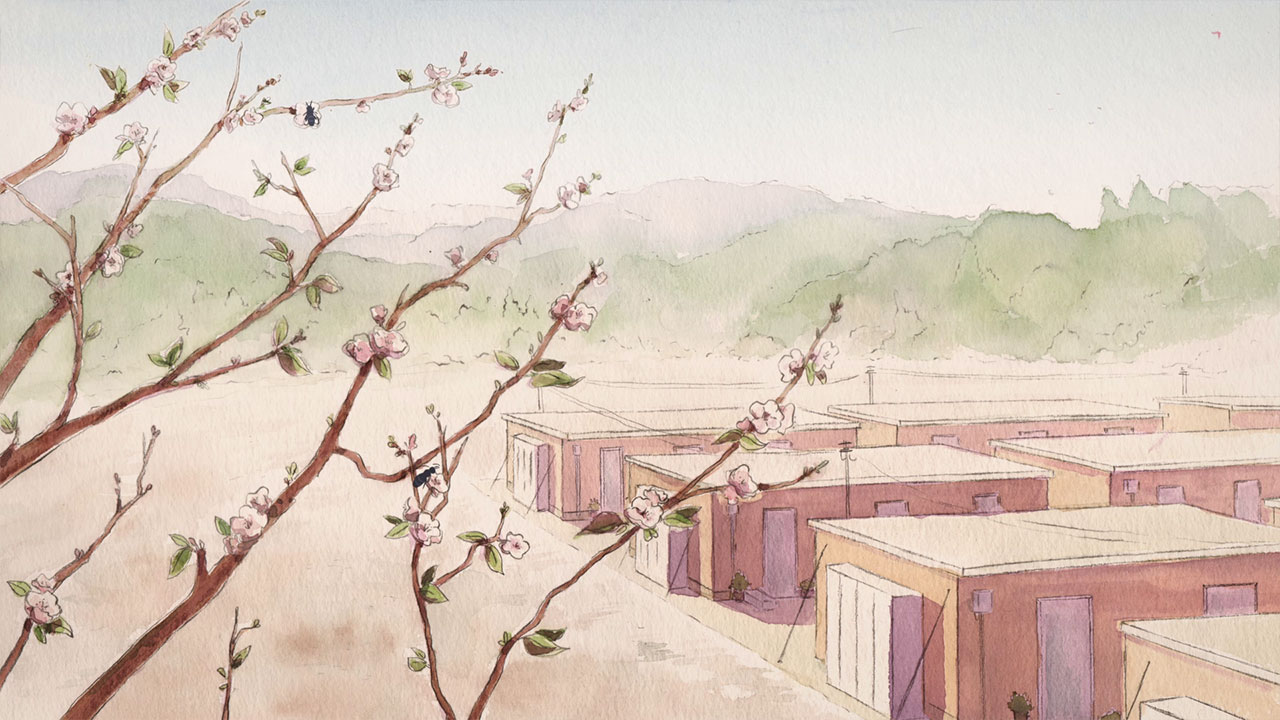 Fukushima 5 years after