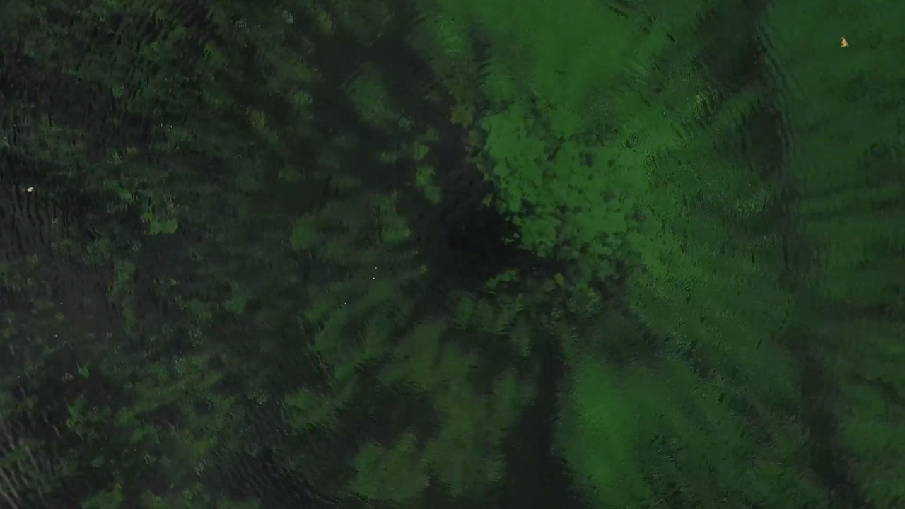 Butte’s Berkeley Pit: New Life Emerges from its Toxic Waters